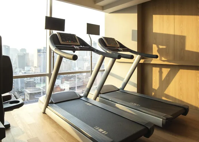 Ibis Styles Ambassador Myeong-dong Hotel 4*