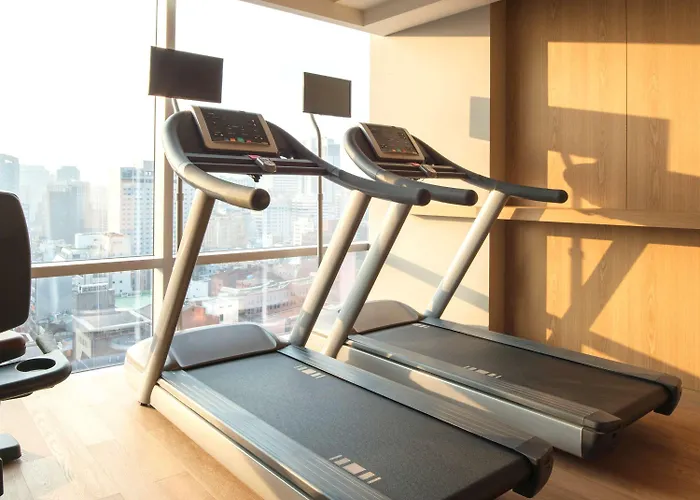Hotel Ibis Styles Ambassador Myeong-dong 4*