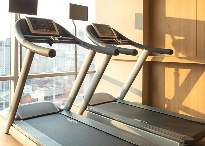 Ibis Styles Ambassador Myeong-dong 4* Seul