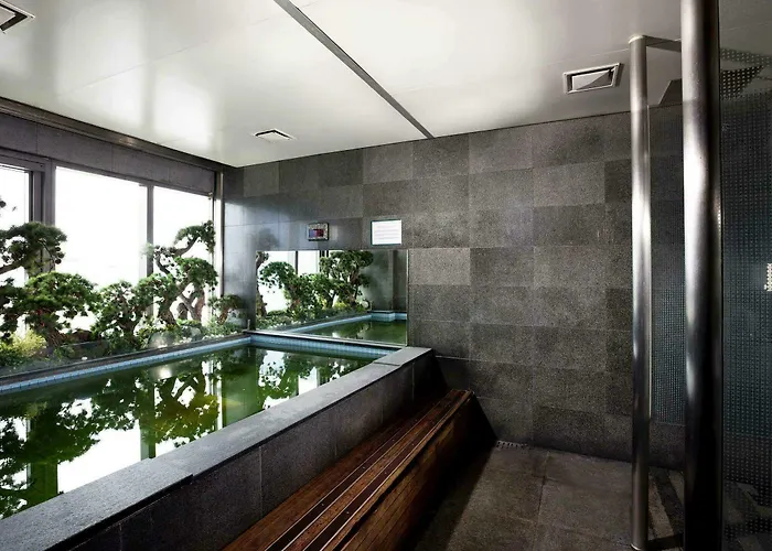 Ibis Styles Ambassador Myeong-dong 4* Seul